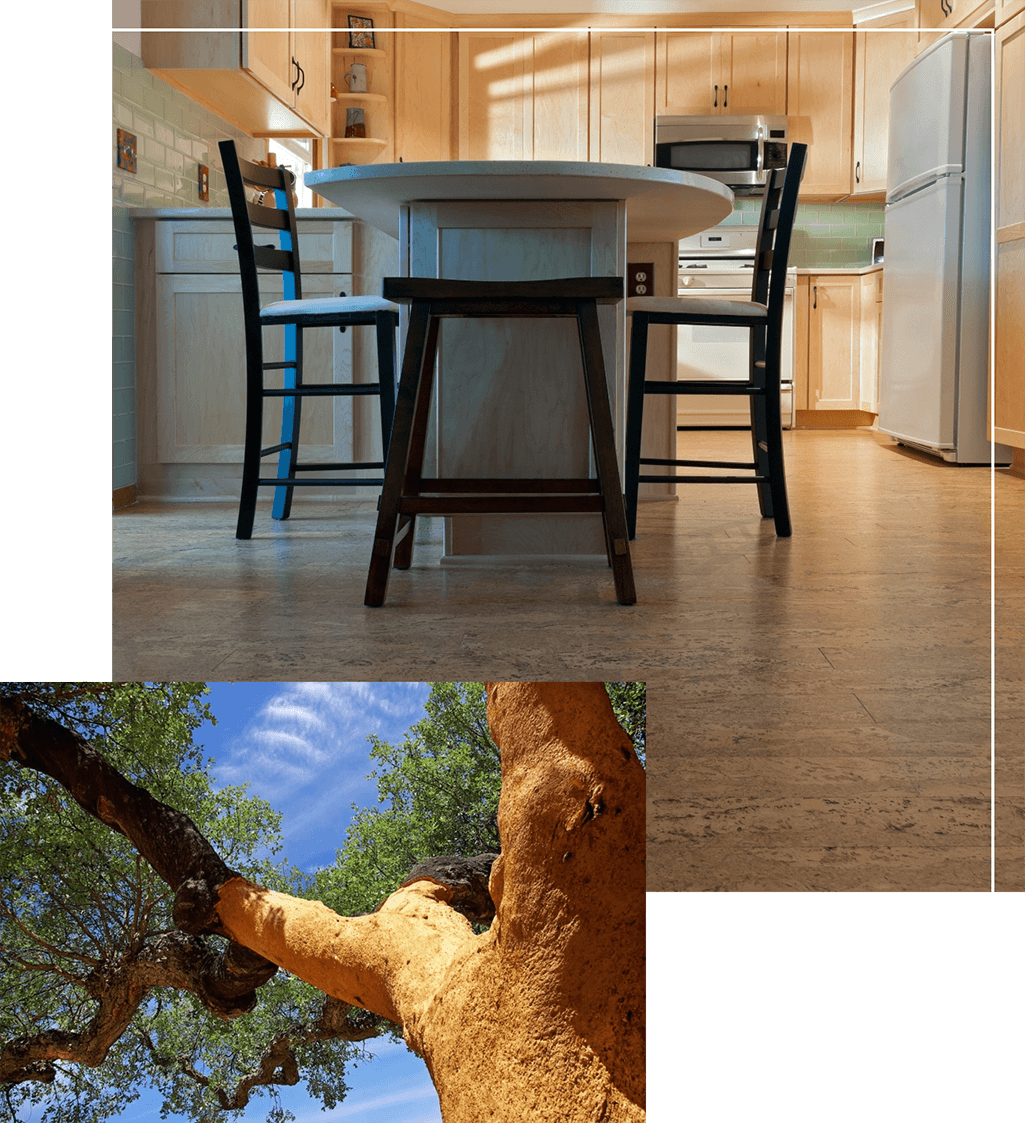 Cork flooring intro