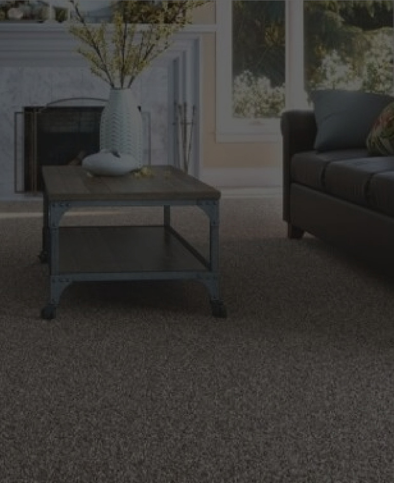 Carpet banner sm