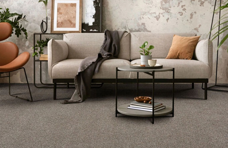 Dofa and carpet