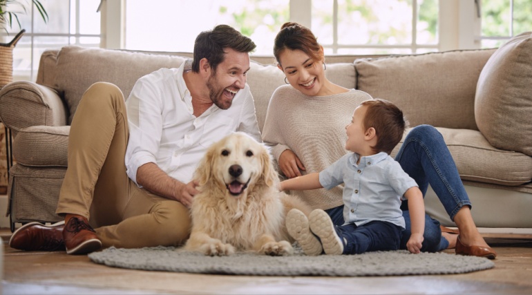 Luxury vinyl plank lvp is perfect for pet owners
