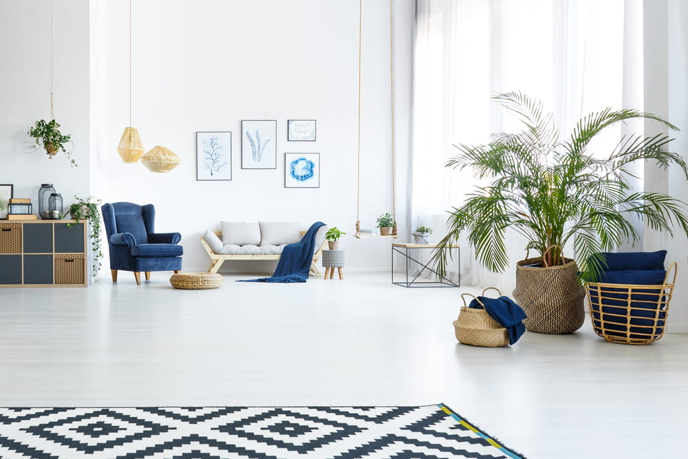 White living room with couch blue armchair and decorative plant calgary flooring store